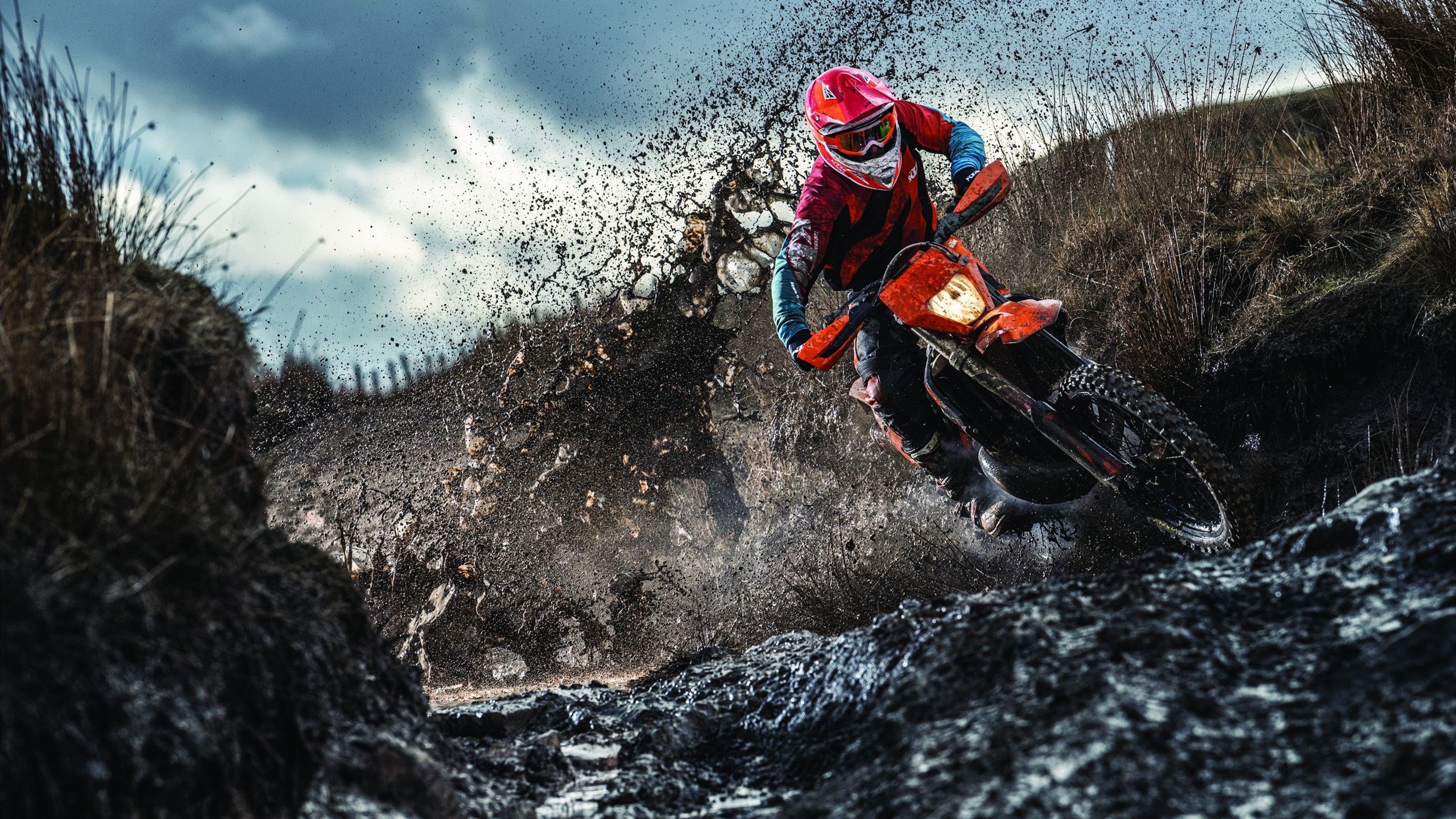 开云体育下载-奥运周期关键战之夜，莫兰特成为胜负手